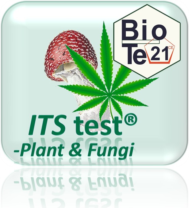 ITStest-Plant & Fungi