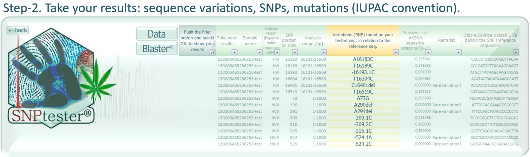 SNPtester-results