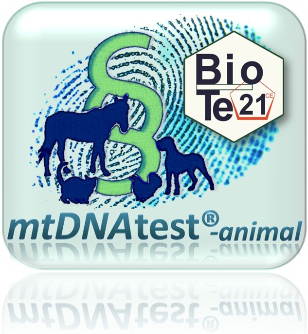 mtDNAtest-animal