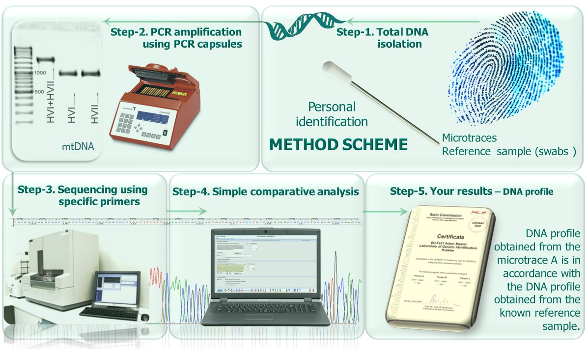 mtDNAtest-human - Method scheme