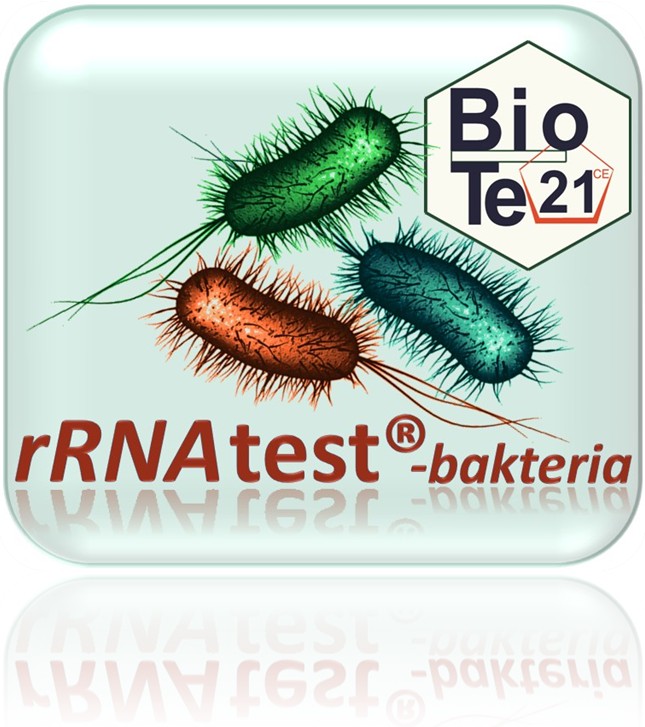 rRNAtest-Bacteria